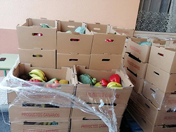 El Cabildo promueve la donación de excedentes de frutas y verduras entre entidades de voluntariado