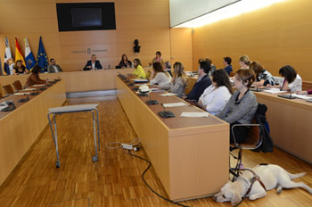 iass informa al sejo insur servicios sociales sus objetivos para presente a o